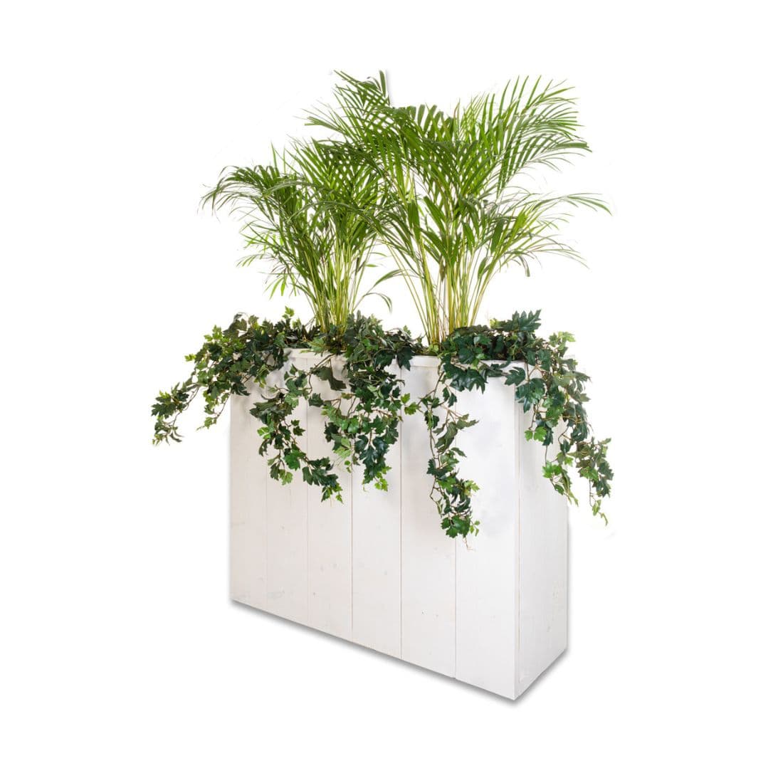 Plantenbak steigerhout wit met planten