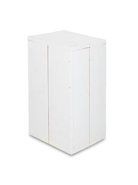 Sokkel steigerhout wit 51x40x40cm